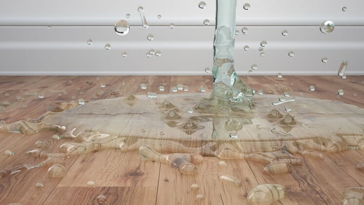 Water Damage- A Ticking Time Bomb? image