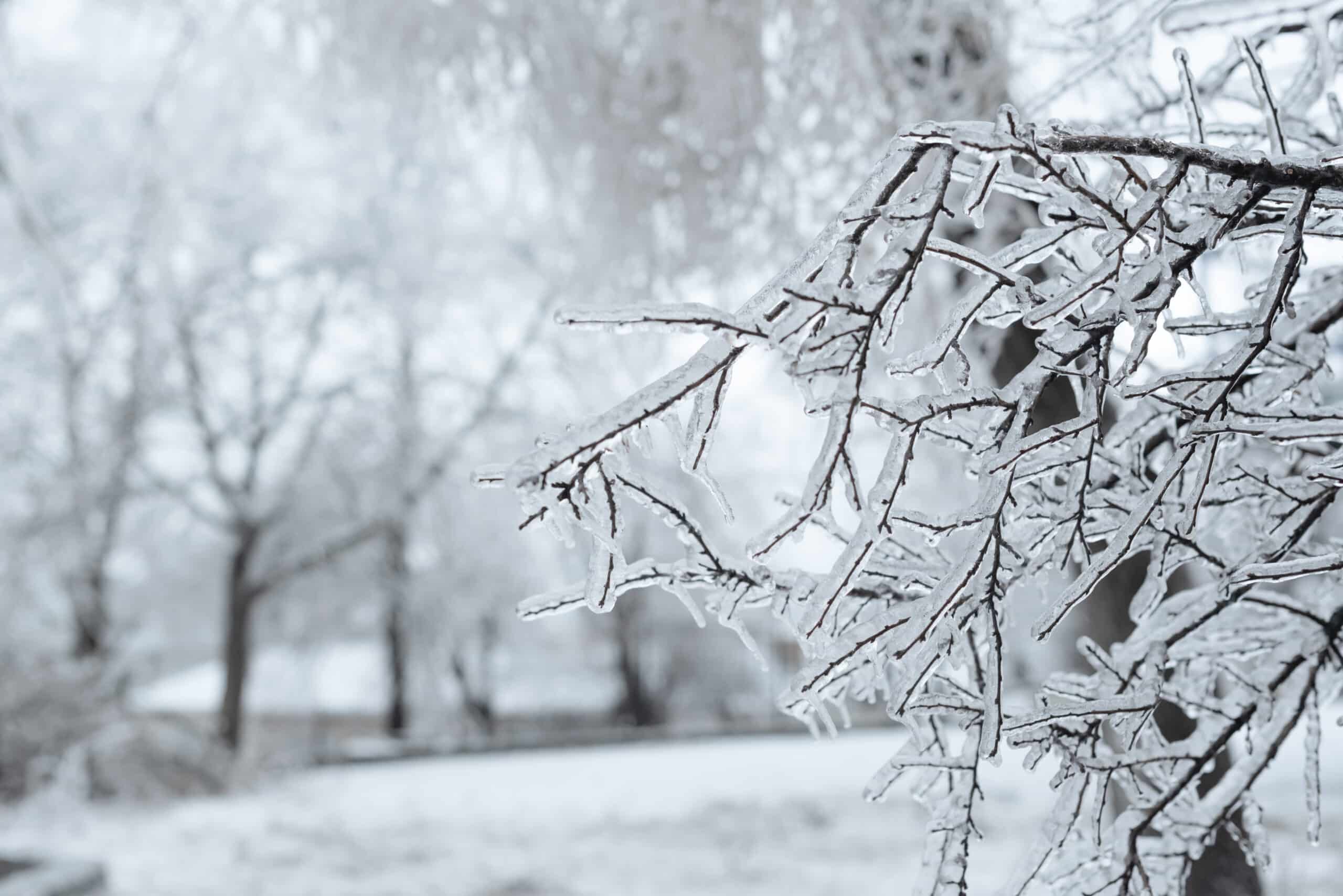 Didn’t Expect Artic Temperatures in Your Area?  Here’s What You Can Do to Protect Your Home. image