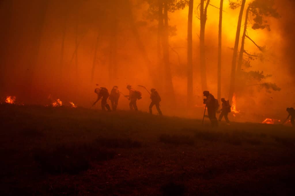 Firefighters combat a forest fire amidst dense smoke and an intense orange glow, silhouetted against towering trees illuminated by the flames.
