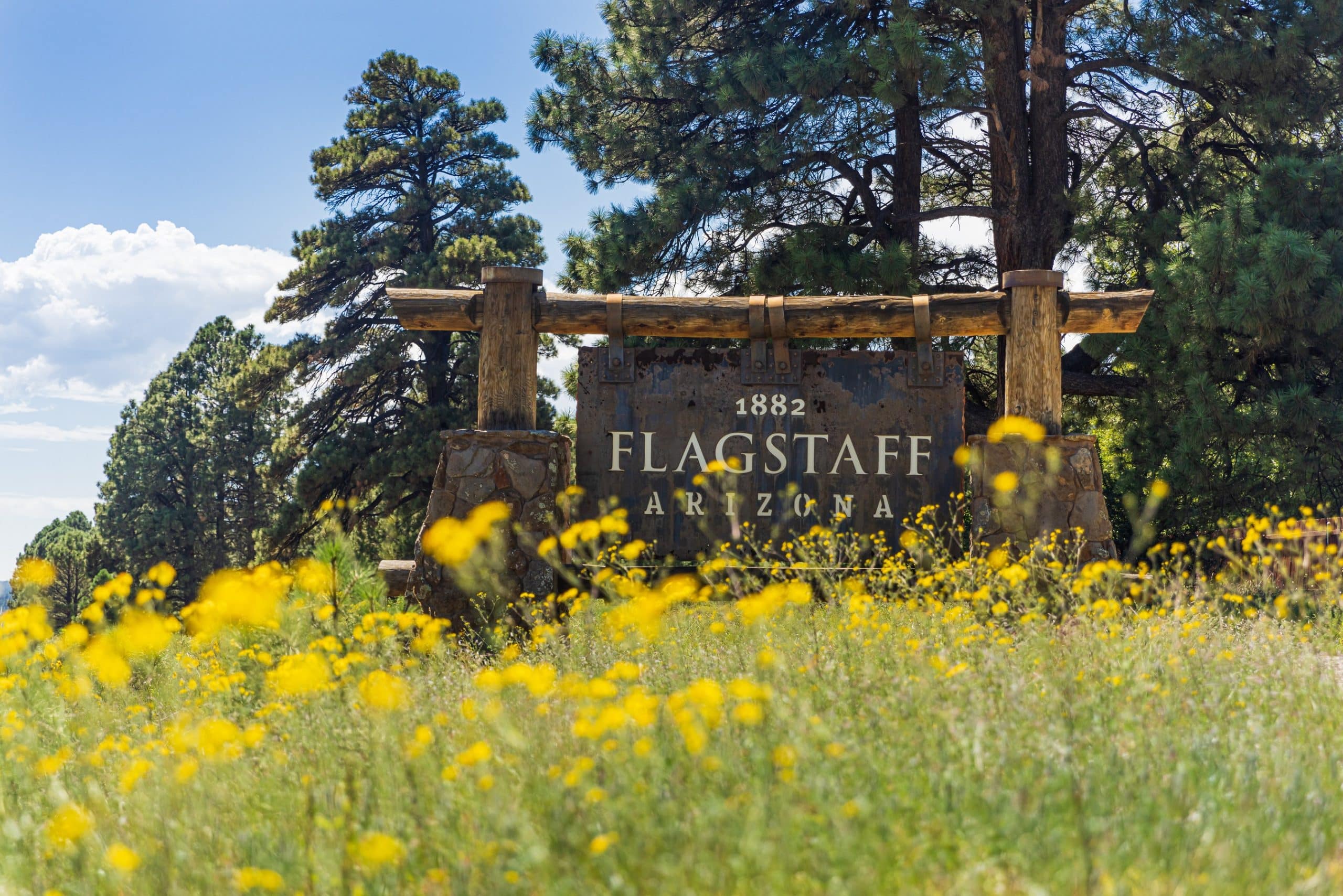 a rustic entry sign that reads "1882 FLAGSTAFF ARIZONA," mounted on a rugged wooden frame supported by stone pillars. The sign is set against a backdrop of tall pine trees under a clear blue sky. In the foreground, a vibrant field of yellow wildflowers adds a colorful contrast to the scene, emphasizing the natural beauty typical of the area around Flagstaff, Arizona.