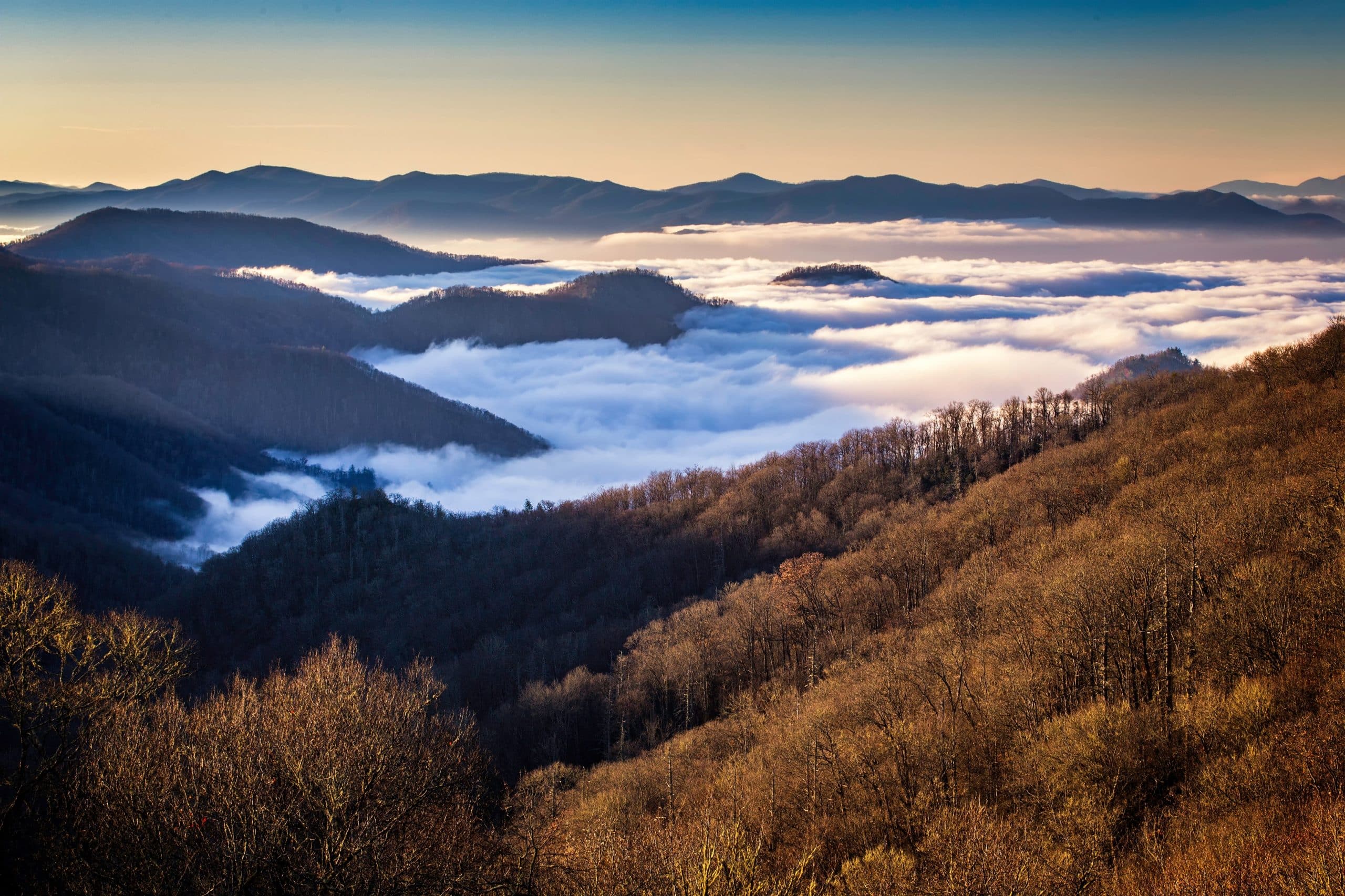 A stunning landscape photo showing a view over a mountainous region during what appears to be early morning or late afternoon. The soft, warm light enhances the rolling contours of the hills and valleys, where a sea of clouds nestles in the lower areas, creating a dramatic and serene natural scene. The foreground trees, devoid of leaves, suggest it might be late fall or winter, adding to the stark beauty of the scenery with their bare branches contrasting against the cloud-filled valleys and distant mountain ridges. The colors and lighting suggest a crisp, clear day, perfect for such expansive visibility.