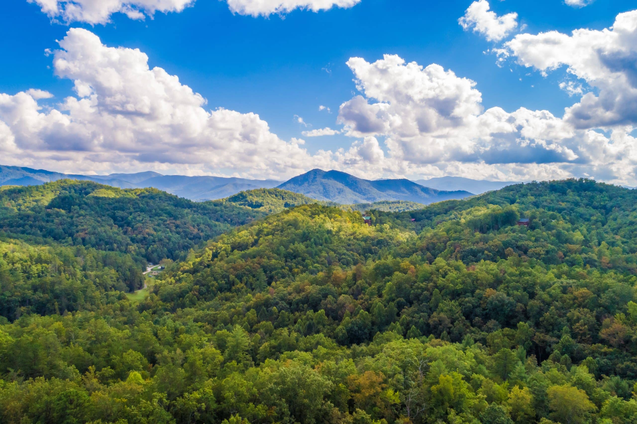 A breathtaking aerial view of Sevierville, a lush, expansive forested landscape under a dynamic sky with fluffy clouds. The greenery is rich and dense, spanning across rolling hills and valleys, with distant mountains forming a misty blue backdrop. The scene is dotted with a few isolated houses, emphasizing the vastness and untouched nature of the environment. This type of scenery is typical of regions like the Appalachian Mountains, known for their extensive biodiversity and natural beauty.